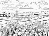 Prairie Coloring Page For Adults  Free Printable In 2024 sketch template