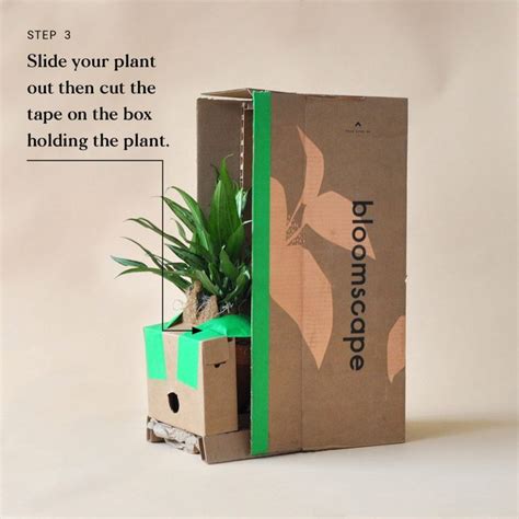 Welcoming Your New Plant Home | Bloomscape | Plant delivery, Plant ...