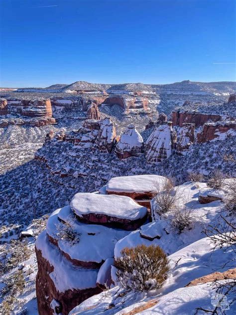 Colorado National Monument: What to Expect in the Winter