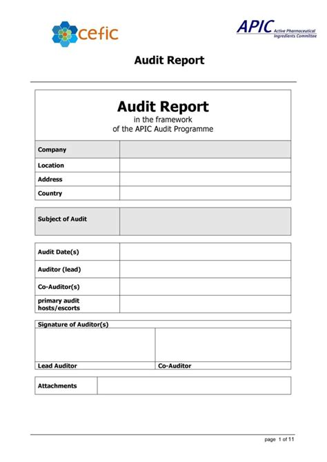 50 Free Audit Report Templates (Internal Audit Reports) ᐅ TemplateLab