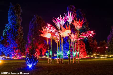 RHS Wisley Gardens Glow Illuminations - Tue 13th Dec 2022 - Highcliffe ...