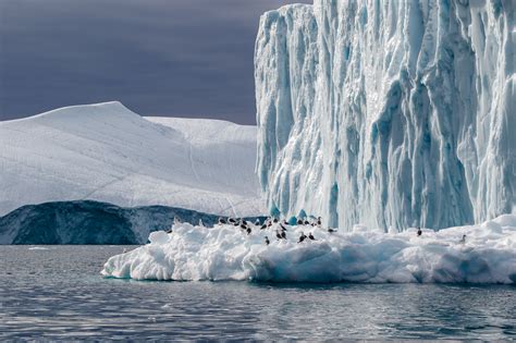 Greenland's Stunning Icebergs — Christine Croucher