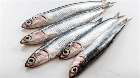 Anchovies vs. Sardines: Here's the Difference | Anchovies, Sardines, Good healthy recipes