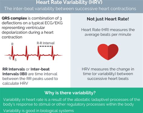 Heart Rate Variability (HRV): Your stress is measurable! – The Chiro Hub