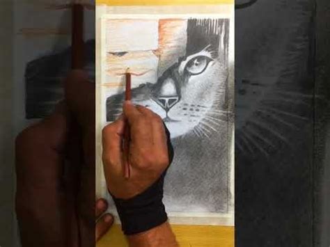 رسم قطه خائفة جدا بالرصاص/ Draw a very scared cat with a shot | Baseball cards, Cards ...