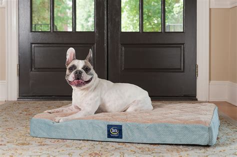 Serta Ortho Quilted Pillow Top Pet Dog Bed, Large Blue - Walmart.com