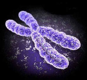 What is Trisomy 18? – Trisomy 18 Foundation