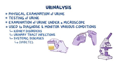 Genitourinary: Collecting a urine specimen (for nursing assistant training) - Osmosis Video Library