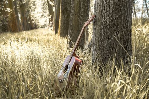 Free Photo | Guitar in nature