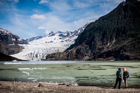 Juneau Alaska Cruise Excursion | Mendenhall Glacier, Tongass Hiking Tour