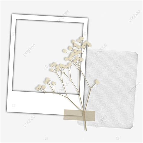 Aesthetic Polaroid PNG Transparent, Polaroid Frame Paper Note With Aesthetic Dry Flowers ...