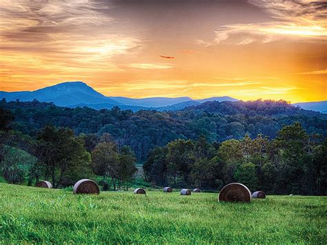 Why Sperryville, VA is worth the drive | MoCo360