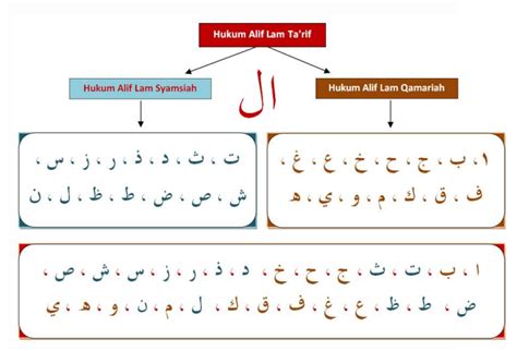 Contoh Huruf Alif Lam Syamsiah Beserta Suratnya Hukum Bacaan Al | The ...