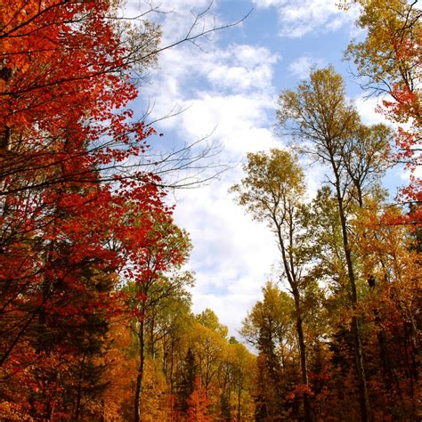 Seeing the Treasures of Fall Foliage at Clingmans Dome, Great Smokey ...