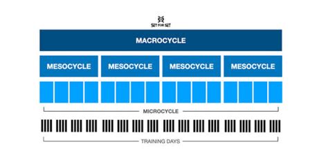 Periodization Training: Linear vs Undulating vs Block vs Conjugate ...