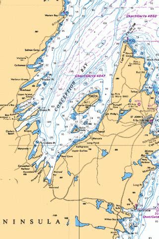 CONCEPTION BAY (Marine Chart : CA4847_1) | Nautical Charts App