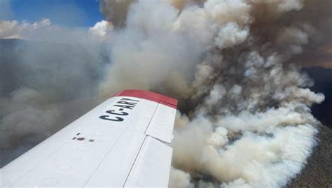 Incendio forestal en Quilpué consume 1.700 hectáreas