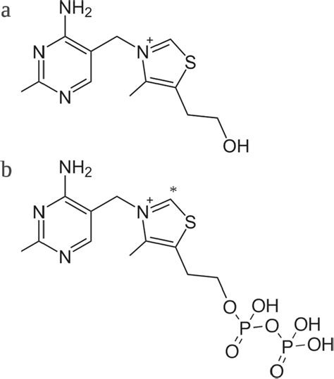 Chemical structure of a thiamine and b thiamine pyrophosphate. A single... | Download Scientific ...