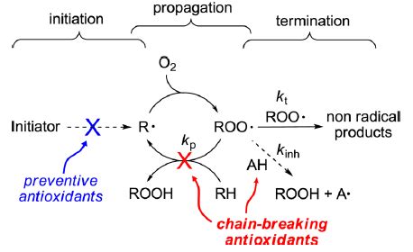 1. Simplified mechanism of hydrocarbon autoxidation and antioxidant... | Download Scientific Diagram