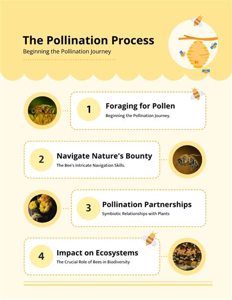 Pollination Process Bee Infographic Template - Venngage