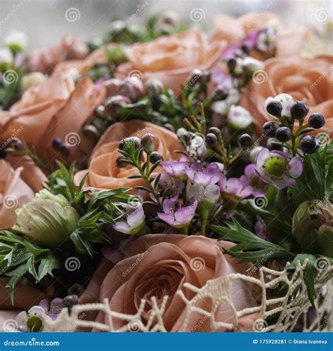 Beautiful Cream Flowers Bouquet Stock Image - Image of bright ...