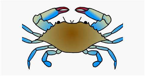 Crabs clipart crab drawing, Crabs crab drawing Transparent FREE for ...