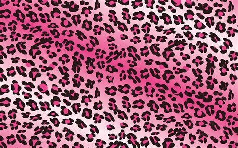 Leopard Print Pink Wallpapers on WallpaperDog