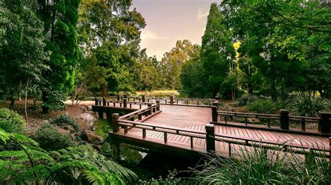 Nerima Gardens – Discover Ipswich