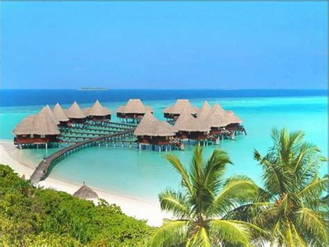 Coco Palm Dhuni Kolhu Hotel, Maldives, Maldives - overview