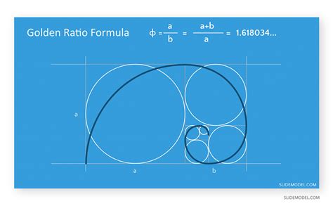 Fibonacci Spiral In Nature Public Domain