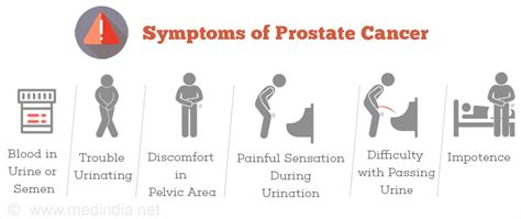 Signs Symptoms Of Aggressive Prostate Cancer - CancerWalls