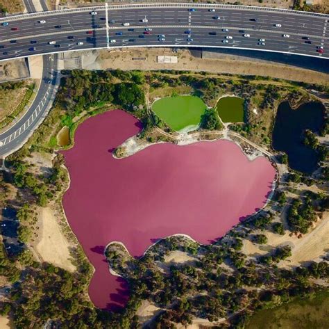 Why does Melbourne's Westgate Park salt lake turn pink? - ABC News