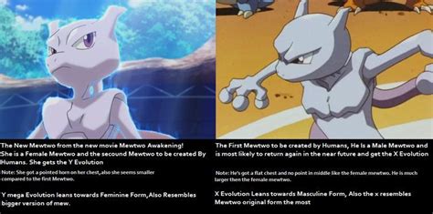 Pin by Mina HochenZollen on In love with Mewtwo!