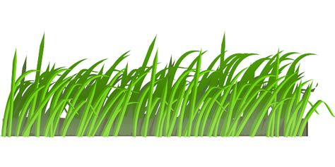 Herbe Vert Pelouse · Images vectorielles gratuites sur Pixabay