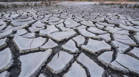 Premium Photo | Dry ground cracks