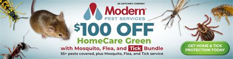 Award-Winning Pest Control Service | Modern Pest