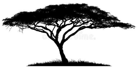 Silhouette of the tree-acacia. Silhouette of acacia wood-African savannah , #Affiliate, #acacia ...