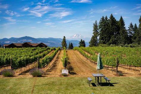 18 CHARMING Hood River Wineries Guaranteed to Impress