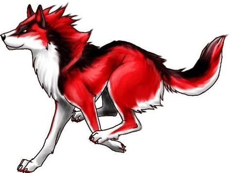 Red Wolf Drawings : Red Wolf By Thewolfchild97 On Deviantart | Bodksawasusa