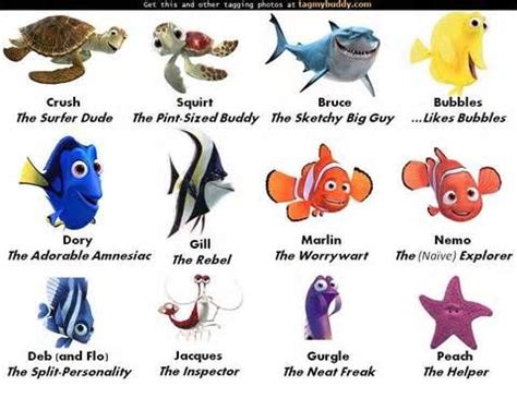 Finding Nemo Characters | Finding nemo characters, Finding nemo movie ...