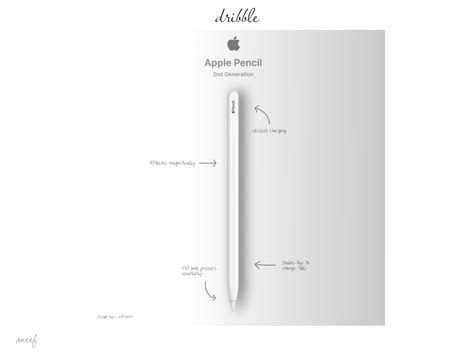 Apple Pencil 2nd Generation by Aneef UIX on Dribbble