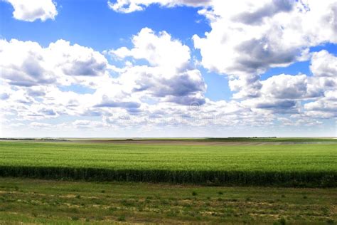 Prairie Landscape stock photo. Image of agriculture, weather - 6043236