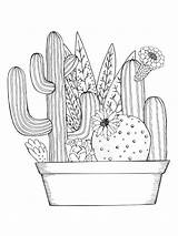 Printable Cactus Coloring Pages sketch template
