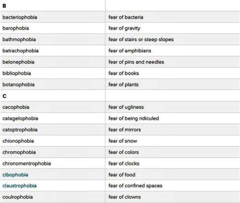 Phobia - What Is Phobia and Some Examples