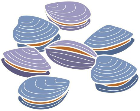 Free Clam Clipart in AI, SVG, EPS or PSD