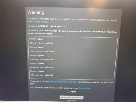 HAVE YOU TRIED BANNING THE HACKERE THEN ROBLOX???!!!!! : r/roblox