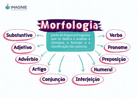 Morfologia Resumos E Mapas Mentais Infinittus | Porn Sex Picture