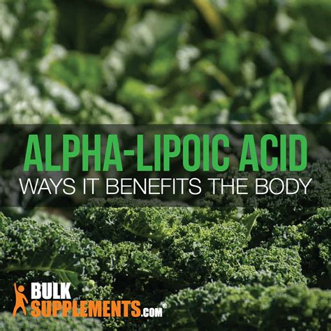 Alpha Lipoic Acid Benefits : Alpha Lipoic Acid The Ultimate Solution To ...