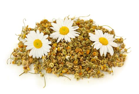 Dried Chamomile Flowers – MDECA