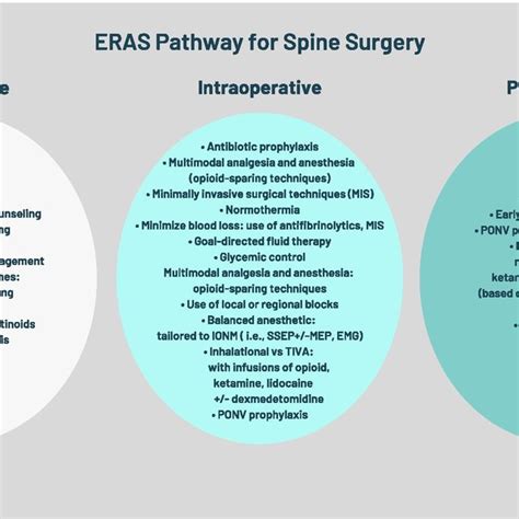 ERAS pathway for spine surgery | Download Scientific Diagram